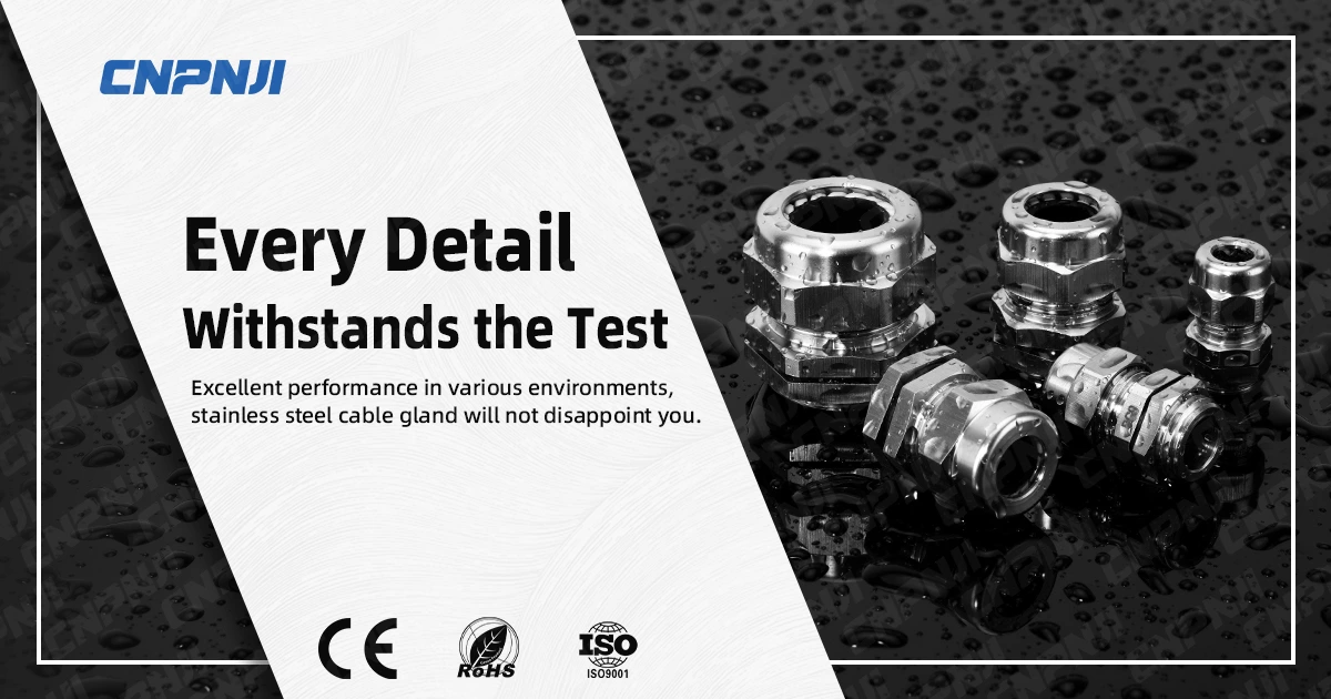 Stainless Steel Cable Gland